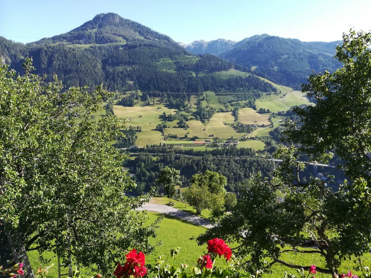 Biobergbauernhof Bergzeit Apartment In Goldegg Buitenkant foto