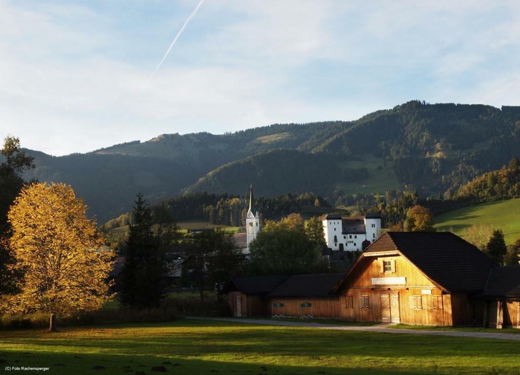 Biobergbauernhof Bergzeit Apartment In Goldegg Buitenkant foto