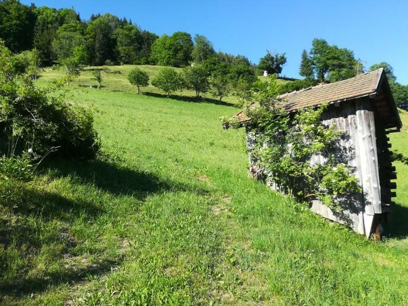 Biobergbauernhof Bergzeit Apartment In Goldegg Buitenkant foto